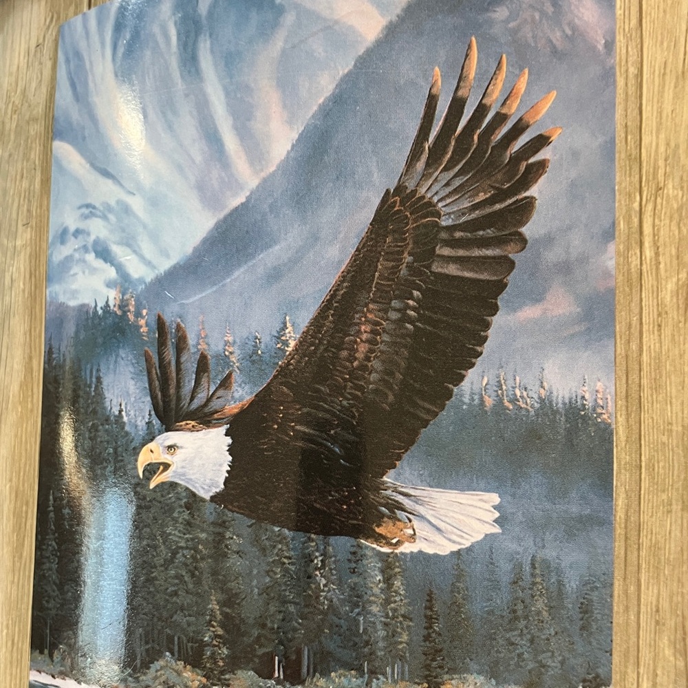 Majestic Eagle Fiber Art Wall Hanging or Throw